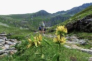 PIZZO ZERNA (2572 m) dalla Valsambuzza con Laghettii di Caldirolo il 24 luglio 2016  - FOTOGALLERY